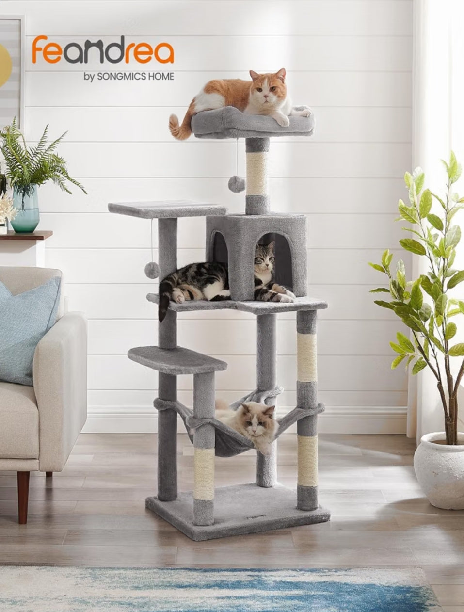 Arbre à chat