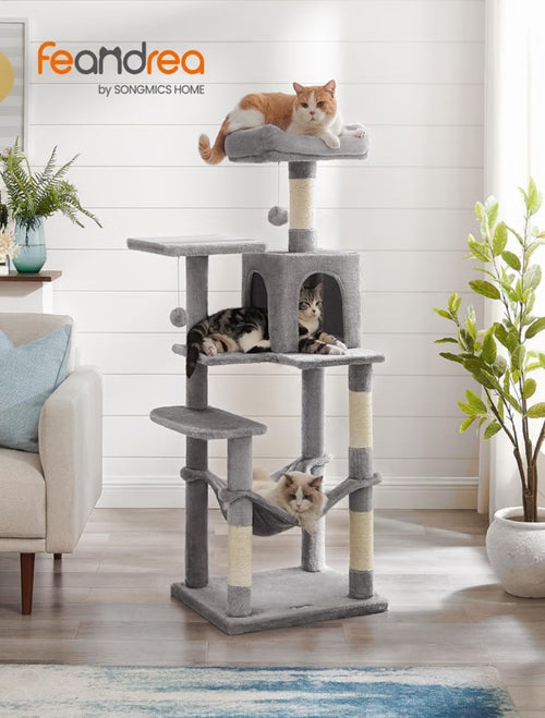 Arbre à chat