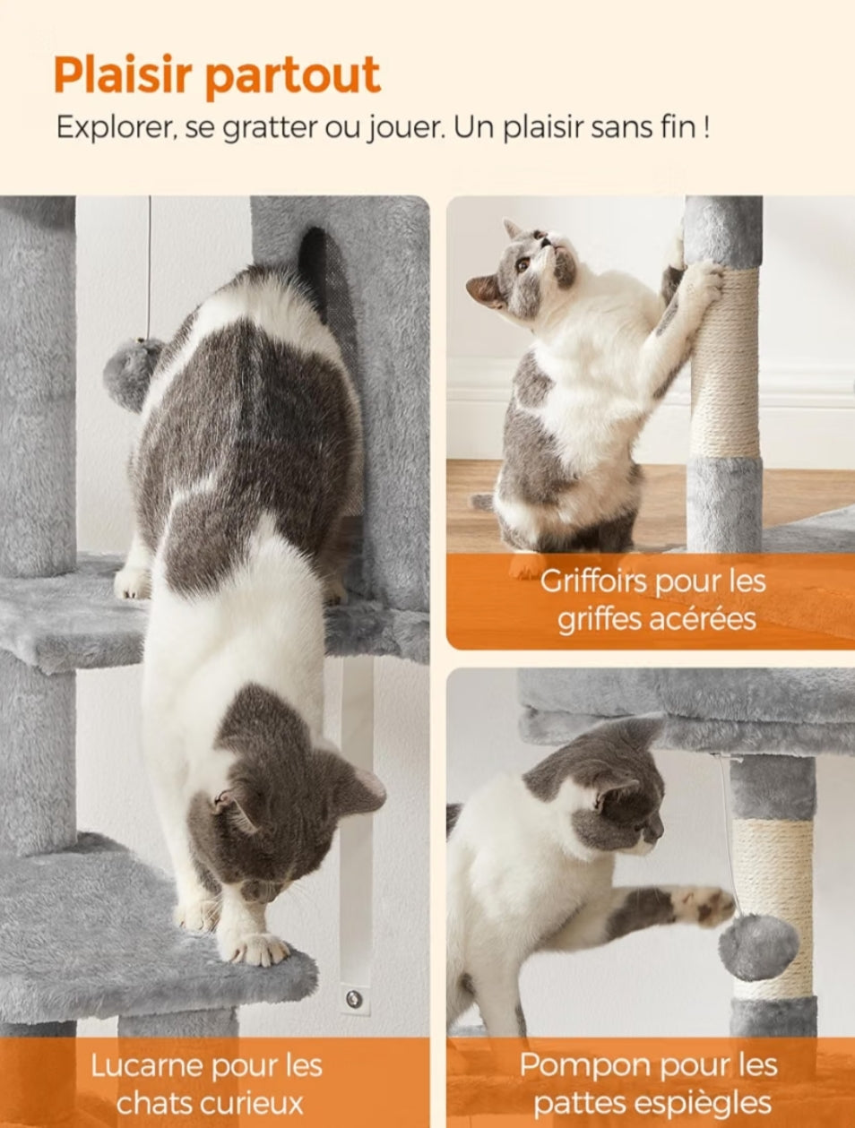 Arbre à chat