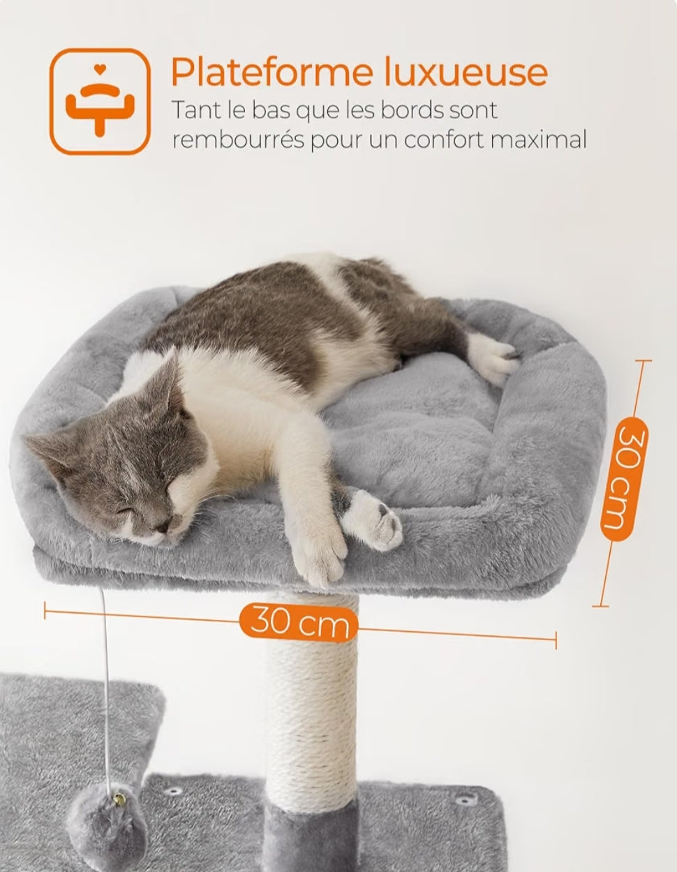 Arbre à chat